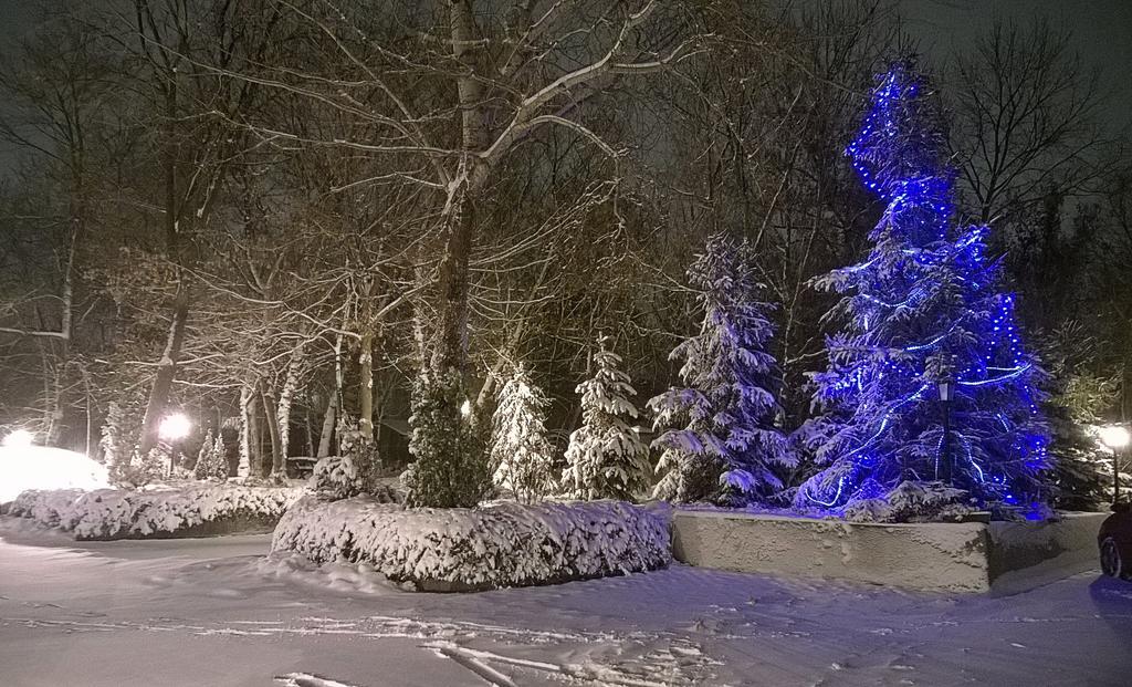 Villa Forest Βελιγράδι Εξωτερικό φωτογραφία