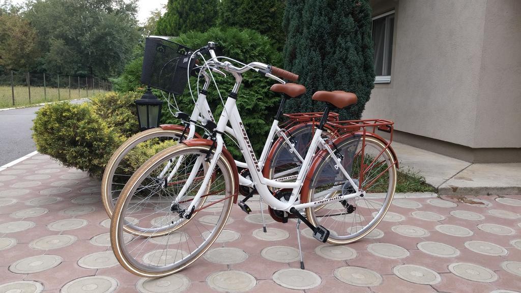 Villa Forest Βελιγράδι Εξωτερικό φωτογραφία