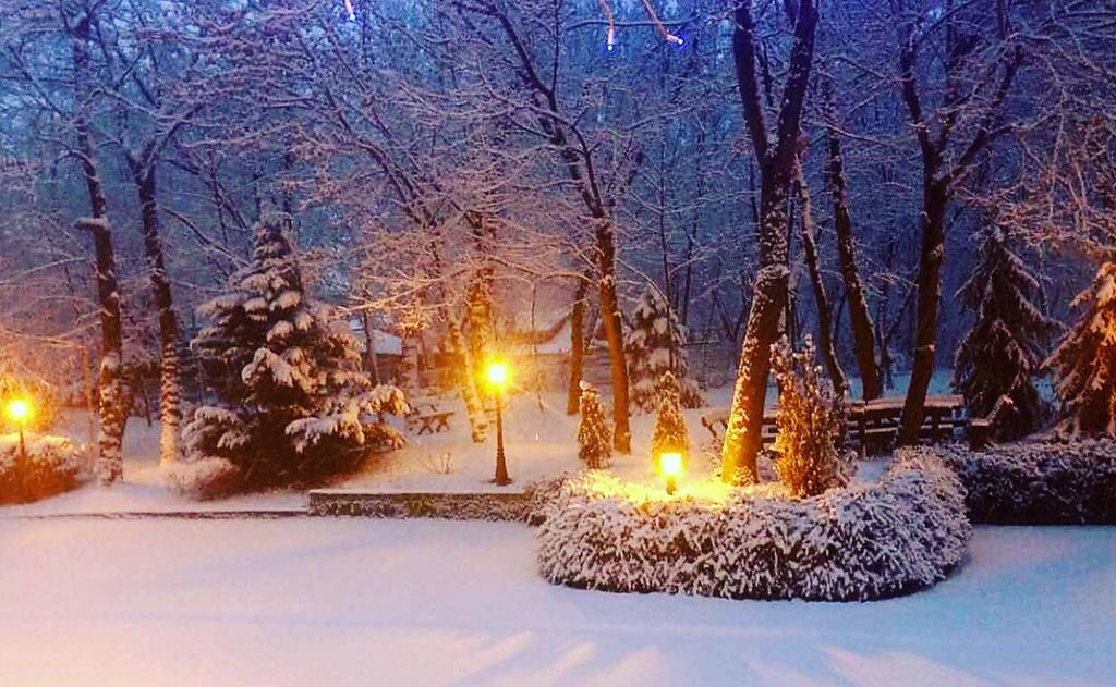 Villa Forest Βελιγράδι Εξωτερικό φωτογραφία
